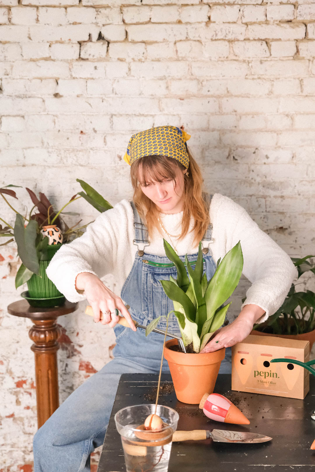 Trio Mini Ollas Plant Diffusers - Striped