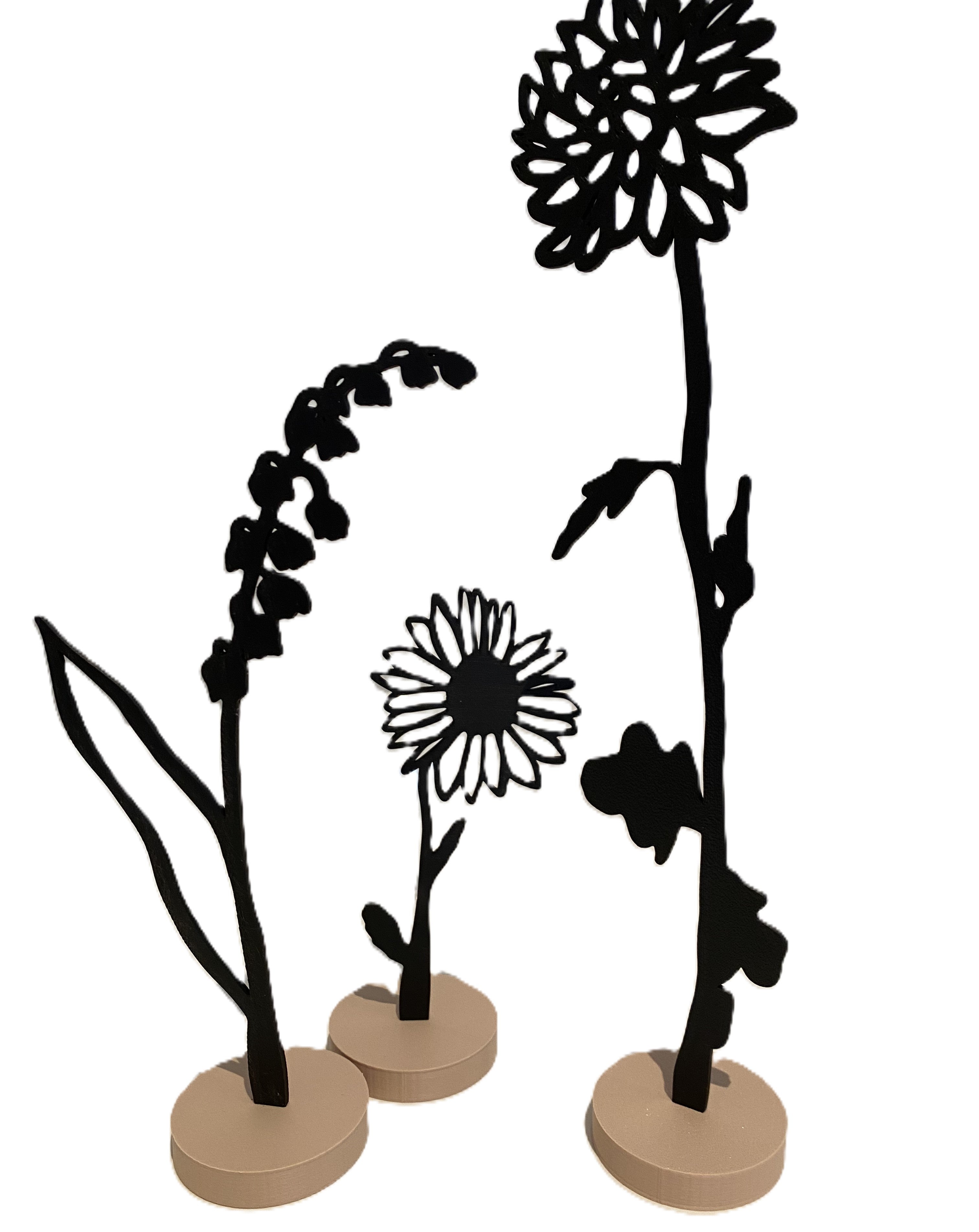 Flowers by Jeoff, Black MDF Silhouette : Daisy