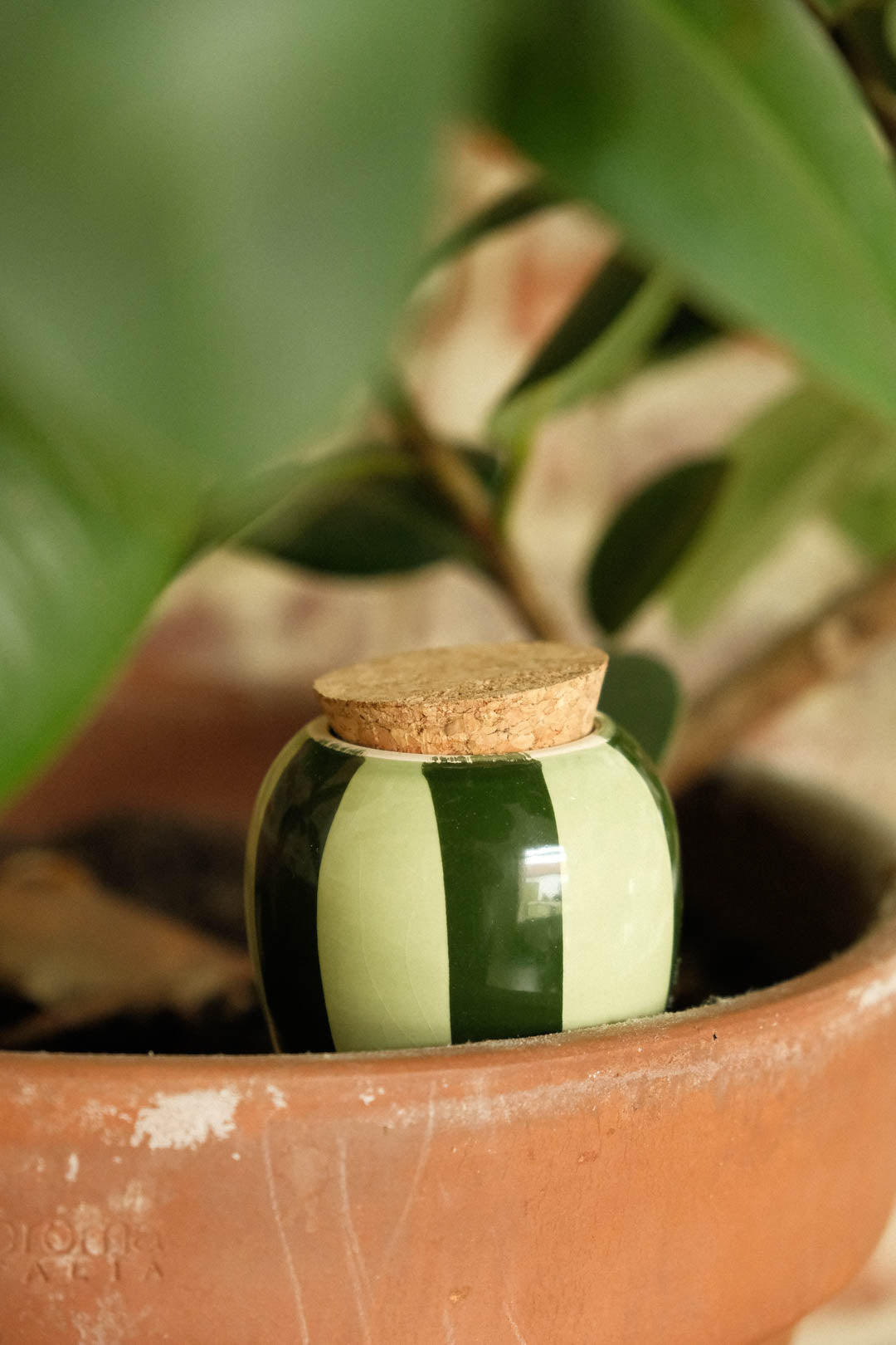 Olla Plant Diffuser - Green and Green Stripes