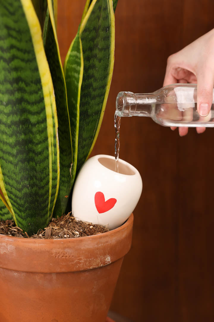 Olla Plant Diffuser - Red Heart