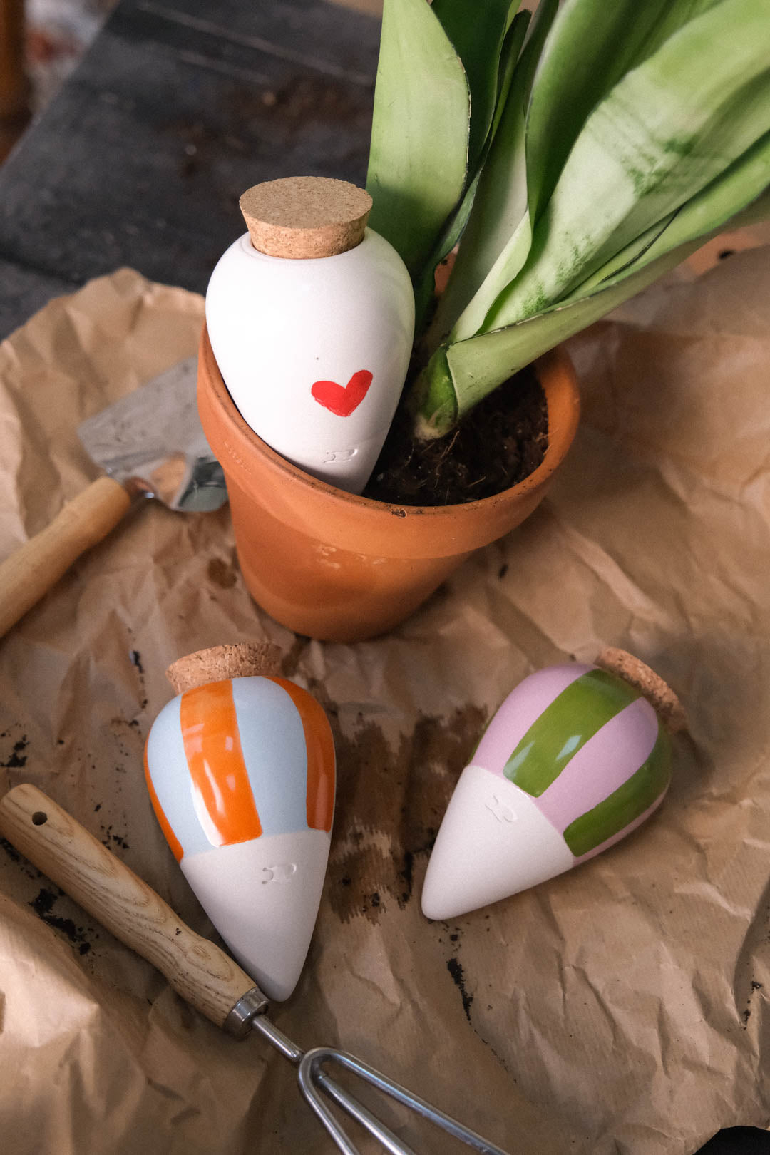 Olla Plant Diffuser - Red Heart