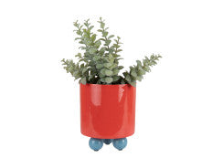 Plant Pot Double Funky Small - Bright red & classic blue