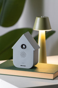 Sound Box Modern Cuckoo - Mouse Grey - BACK IN STOCK 6TH DECEMBER 2025