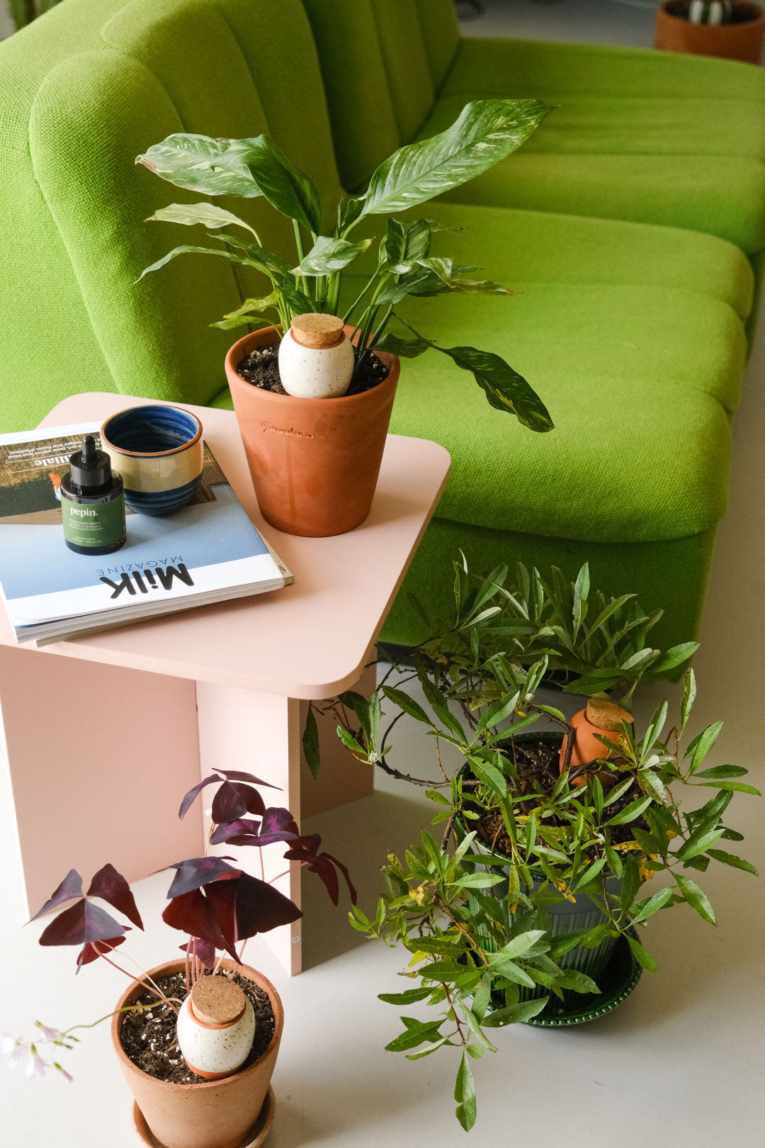 Trio Mini Olla Plant Diffusers - Iconics