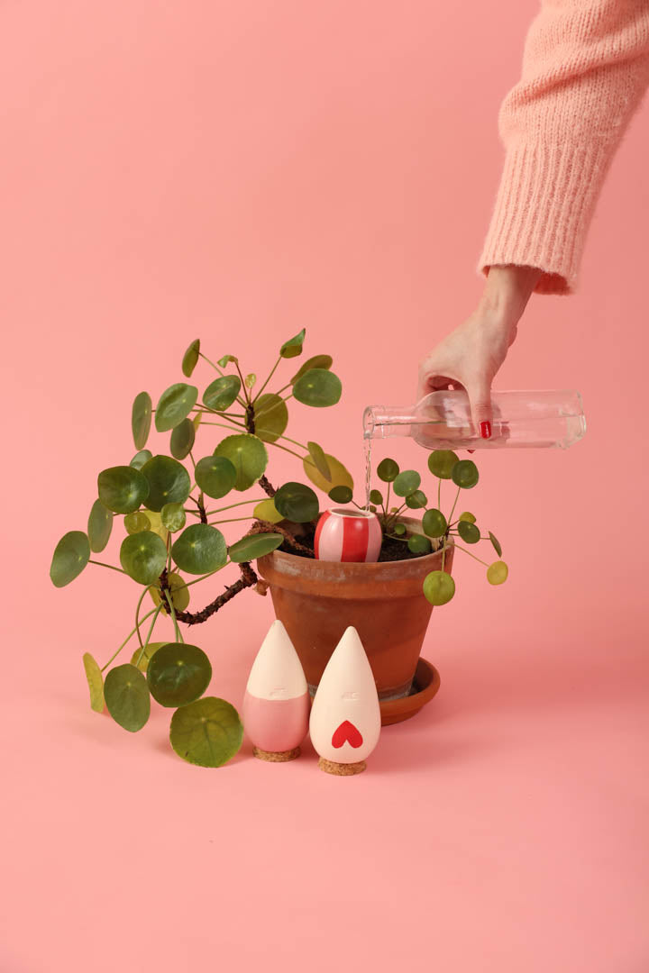 Trio Mini Ollas Plant Diffusers - Les lovers