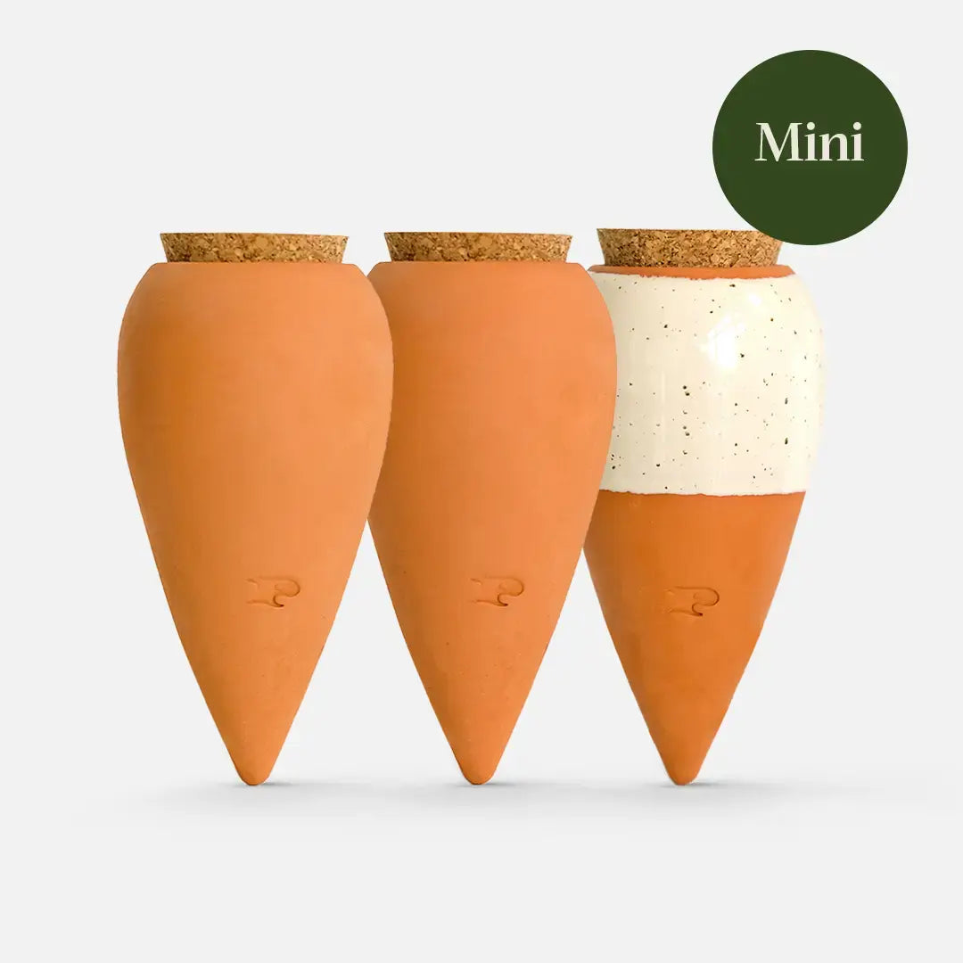 Trio Mini Olla Plant Diffusers - Iconics