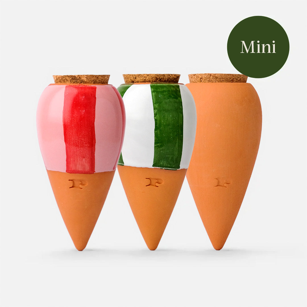 Trio Mini Ollas Plant Diffusers - Striped